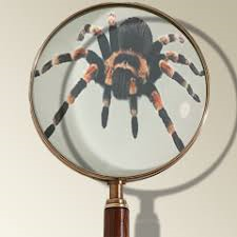 Detection concept: allow-list vs mutations